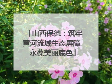 山西保德：筑牢黄河流域生态屏障 永葆美丽底色