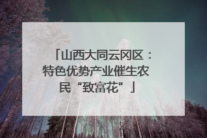 山西大同云冈区：特色优势产业催生农民“致富花”