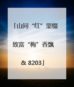山间“红”果缀 致富“梅”香飘& 8203