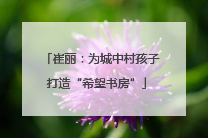 崔丽：为城中村孩子打造“希望书房”
