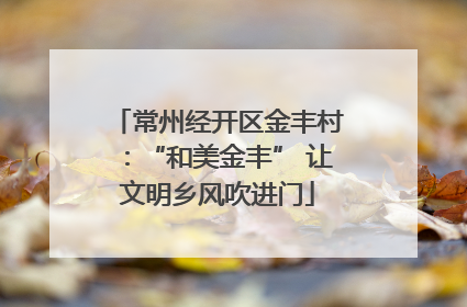 常州经开区金丰村：“和美金丰” 让文明乡风吹进门