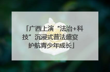 广西上演“法治+科技”沉浸式普法盛宴 护航青少年成长