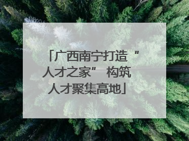 广西南宁打造“人才之家” 构筑人才聚集高地