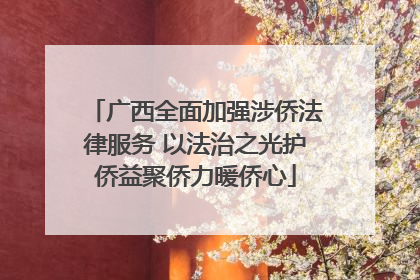 广西全面加强涉侨法律服务 以法治之光护侨益聚侨力暖侨心