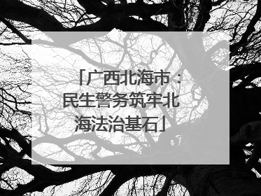 广西北海市：民生警务筑牢北海法治基石
