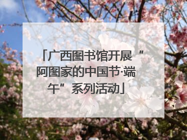 广西图书馆开展“阿图家的中国节·端午”系列活动