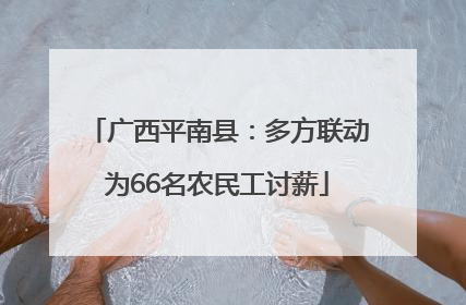 广西平南县：多方联动为66名农民工讨薪