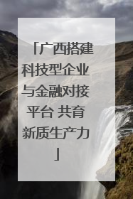 广西搭建科技型企业与金融对接平台 共育新质生产力