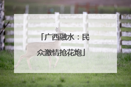 广西融水：民众激情抢花炮