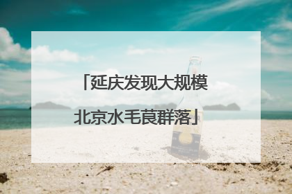 延庆发现大规模北京水毛茛群落