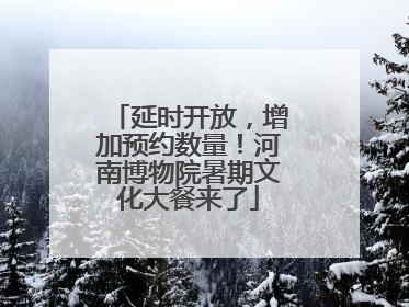 延时开放，增加预约数量！河南博物院暑期文化大餐来了