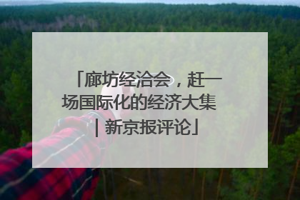廊坊经洽会，赶一场国际化的经济大集｜新京报评论