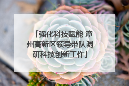 强化科技赋能 漳州高新区领导带队调研科技创新工作