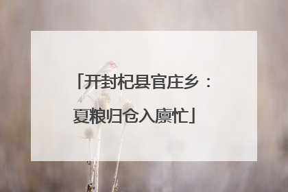 开封杞县官庄乡：夏粮归仓入廪忙