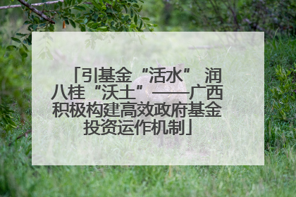 引基金“活水” 润八桂“沃土”——广西积极构建高效政府基金投资运作机制
