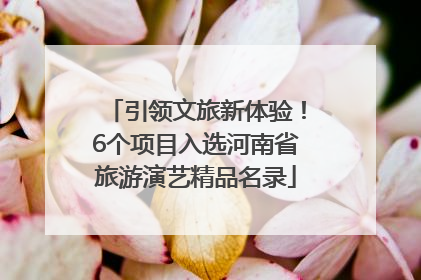 引领文旅新体验！6个项目入选河南省旅游演艺精品名录