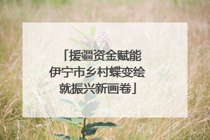 援疆资金赋能 伊宁市乡村蝶变绘就振兴新画卷