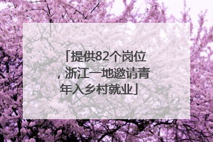 提供82个岗位，浙江一地邀请青年入乡村就业