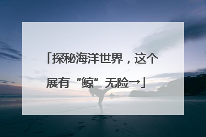 探秘海洋世界，这个展有“鲸”无险→