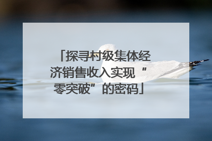 探寻村级集体经济销售收入实现“零突破”的密码