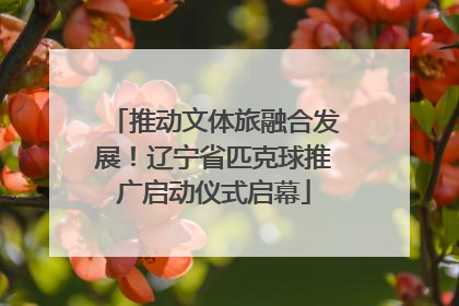 推动文体旅融合发展！辽宁省匹克球推广启动仪式启幕