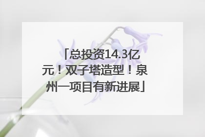 总投资14.3亿元！双子塔造型！泉州一项目有新进展