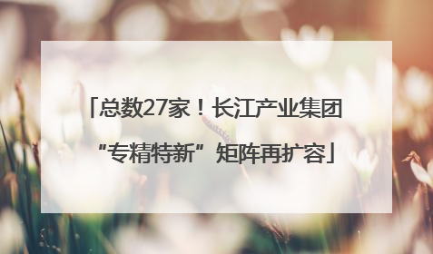 总数27家！长江产业集团“专精特新”矩阵再扩容