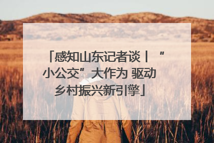 感知山东记者谈丨“小公交”大作为 驱动乡村振兴新引擎
