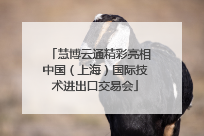 慧博云通精彩亮相中国（上海）国际技术进出口交易会