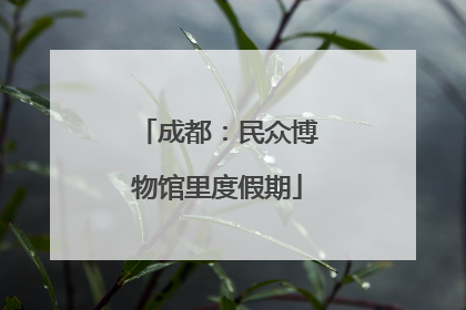 成都：民众博物馆里度假期