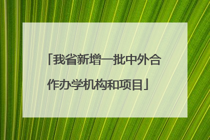 我省新增一批中外合作办学机构和项目
