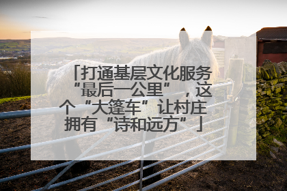 打通基层文化服务“最后一公里”，这个“大篷车”让村庄拥有“诗和远方”