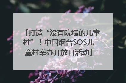 打造“没有院墙的儿童村”！中国烟台SOS儿童村举办开放日活动