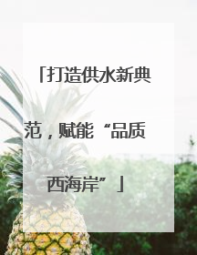 打造供水新典范，赋能“品质西海岸”