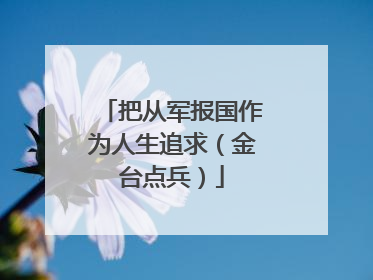 把从军报国作为人生追求（金台点兵）