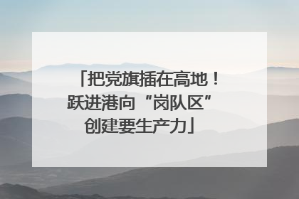 把党旗插在高地！跃进港向“岗队区”创建要生产力