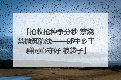 抢收抢种争分秒 禁烧禁抛筑防线——郎中乡干群同心守好 粮袋子