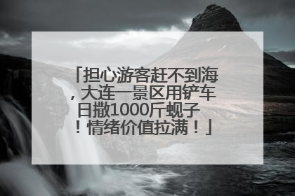 担心游客赶不到海，大连一景区用铲车日撒1000斤蚬子！情绪价值拉满！