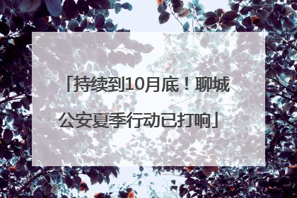 持续到10月底！聊城公安夏季行动已打响