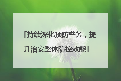 持续深化预防警务，提升治安整体防控效能