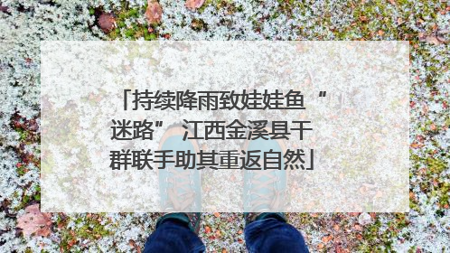 持续降雨致娃娃鱼“迷路” 江西金溪县干群联手助其重返自然