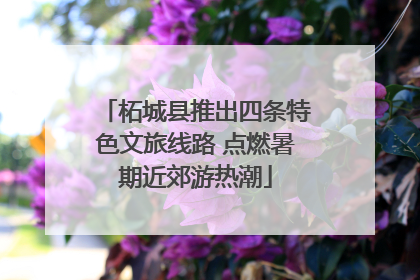 柘城县推出四条特色文旅线路 点燃暑期近郊游热潮