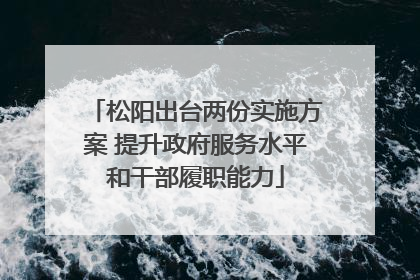 松阳出台两份实施方案 提升政府服务水平和干部履职能力