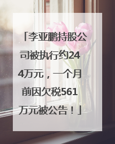 李亚鹏持股公司被执行约244万元，一个月前因欠税561万元被公告！