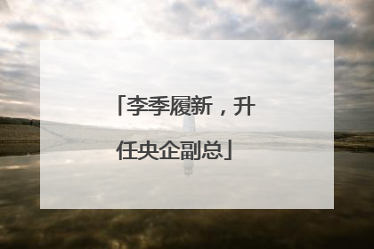 李季履新，升任央企副总