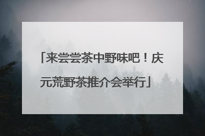 来尝尝茶中野味吧！庆元荒野茶推介会举行
