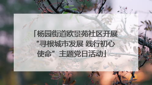 杨园街道欧景苑社区开展“寻根城市发展 践行初心使命”主题党日活动