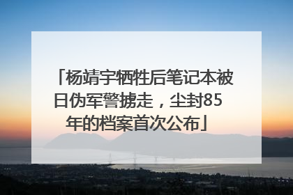 杨靖宇牺牲后笔记本被日伪军警掳走，尘封85年的档案首次公布