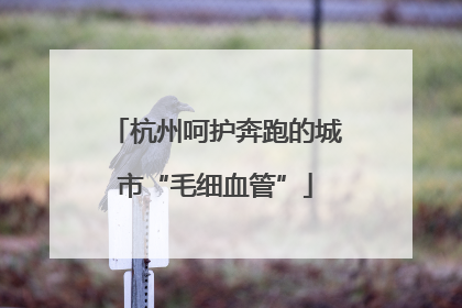 杭州呵护奔跑的城市“毛细血管”