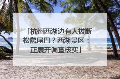 杭州西湖边有人拔断松鼠尾巴？西湖景区：正展开调查核实